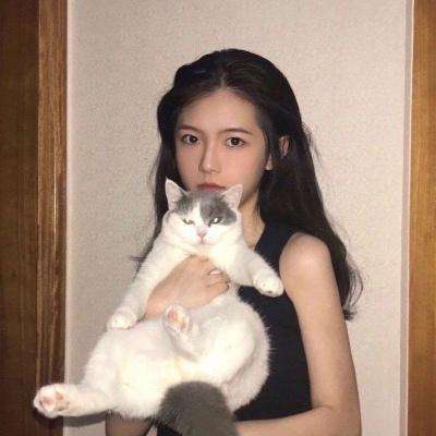 神鬼传奇vivo版下载